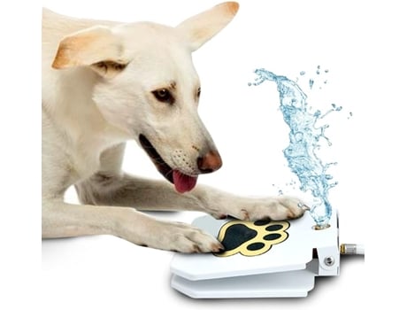 Fonte de água para cachorro BRAWDRESS