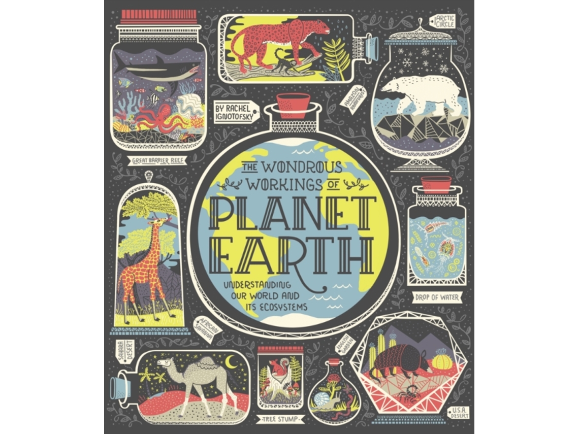 Livro The Wondrous Workings of Planet Earth de Rachel Ignotofsky (Inglês - Capa Dura)