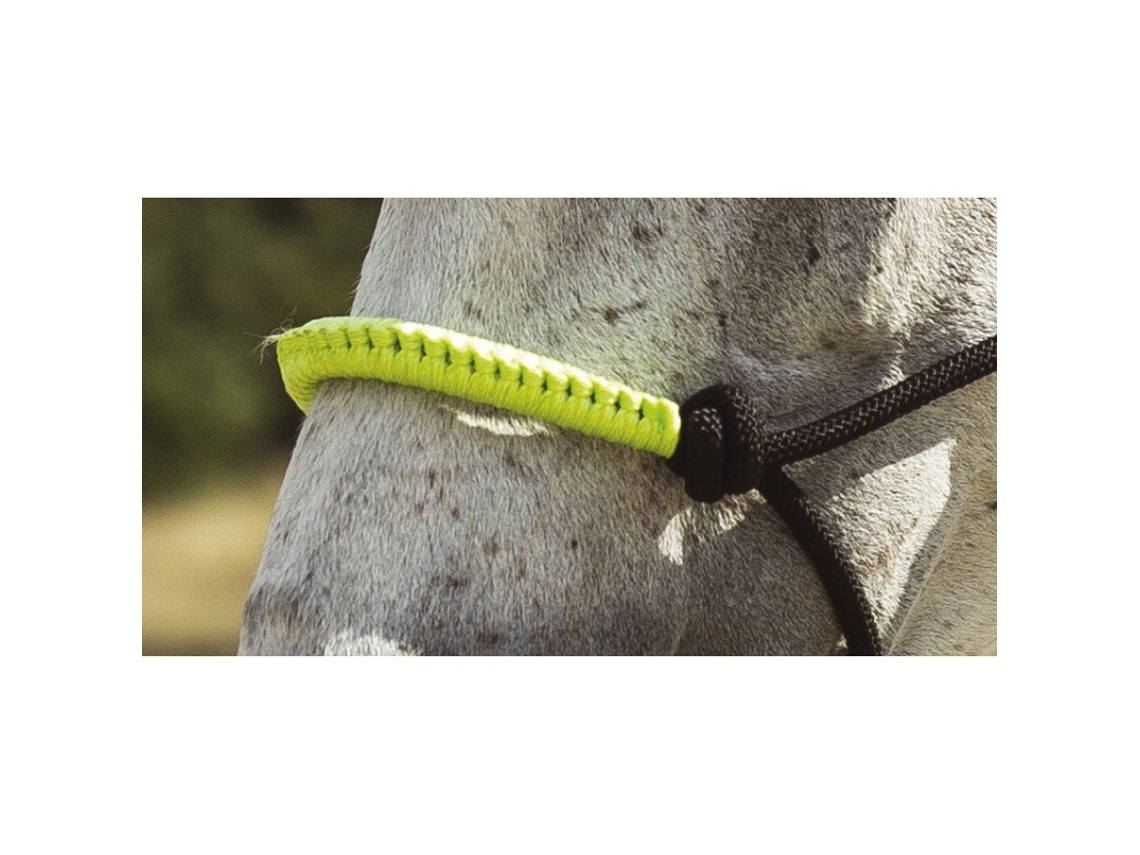 Cabresto para cavalos Norton Fun colour