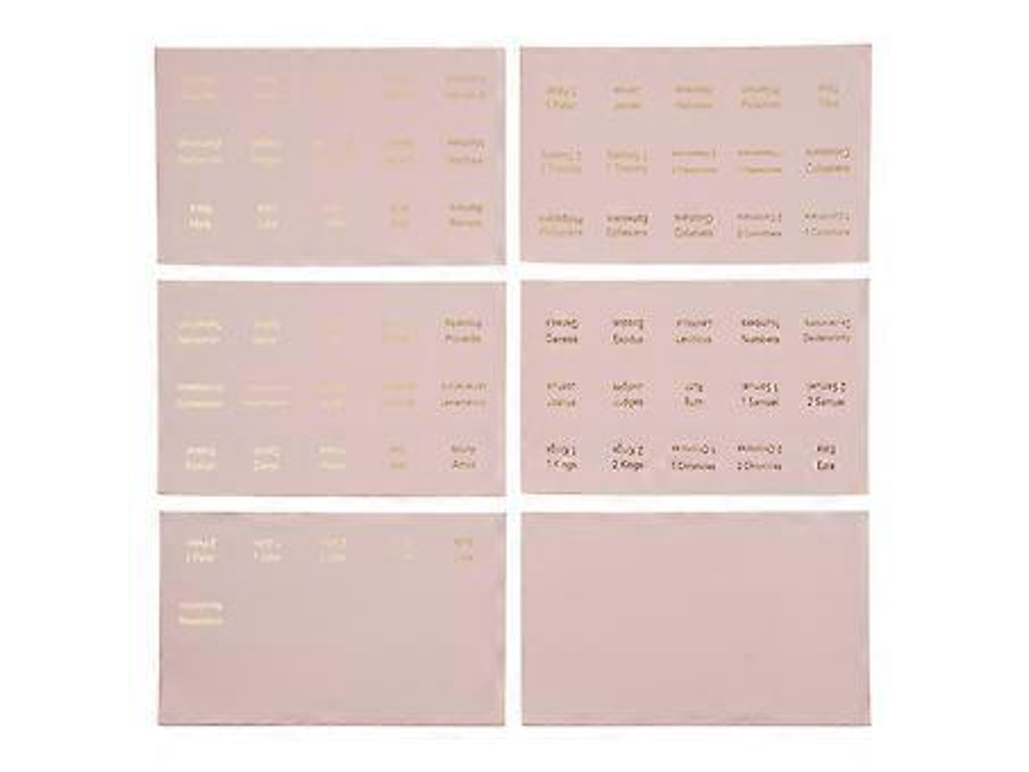 Índice bíblico rosa de 6 folhas para mulheres e homens, com adesivos grandes, laminado, fácil de ler e aplicar. Slowmoose