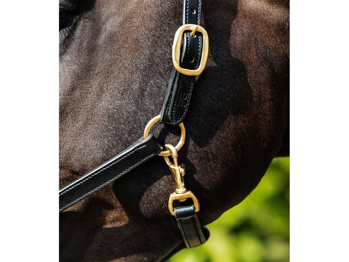 Cabresto de cavalo almofadado em couro Premier Equine
