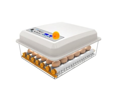 Incubadora 24 Ovos Incubadora Automática de Frango Máquina de Incubação Digital para Incubação de Ovos de Galinha, CONFOZEN