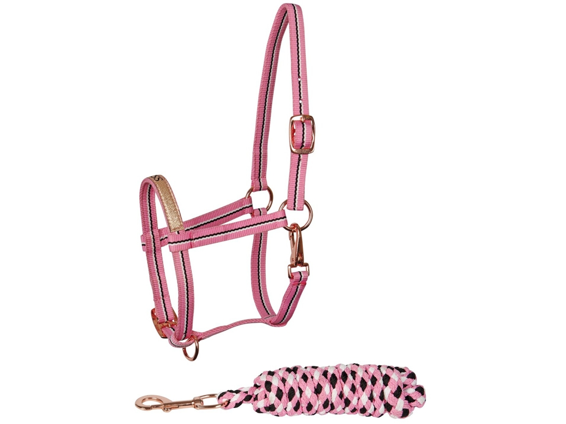 Conjunto de cabresto para potro Harry's Horse