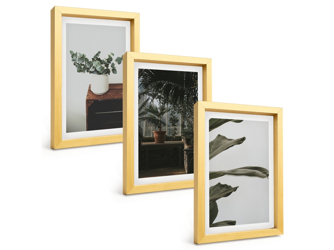 Quadros Decorativos Para Paredeplantas Rústicas Em Vasos Moldura Dourada Quadros Para O Escritório Espelharte (3 Peças 20x30 Cm)