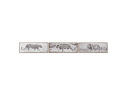 Quadro DKD HOME DECOR (90 x 4 x 30 cm)