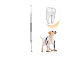 Ferramenta Dental para Cães Aço Inoxidável Duas Pontas