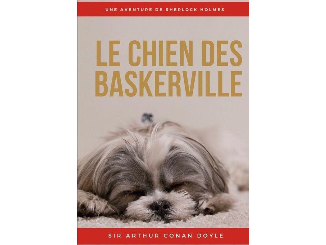 Livro Le Chien Des Baskerville de Arthur Conan Doyle (Francês)