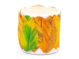 Cinta Adhesiva Com Folhas De Outono Decorativa Colorida Para Scrapbooking E Manuais