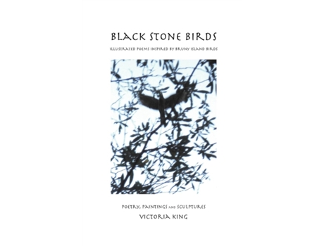 Livro Black Stone Birds de Victoria King (Inglês)