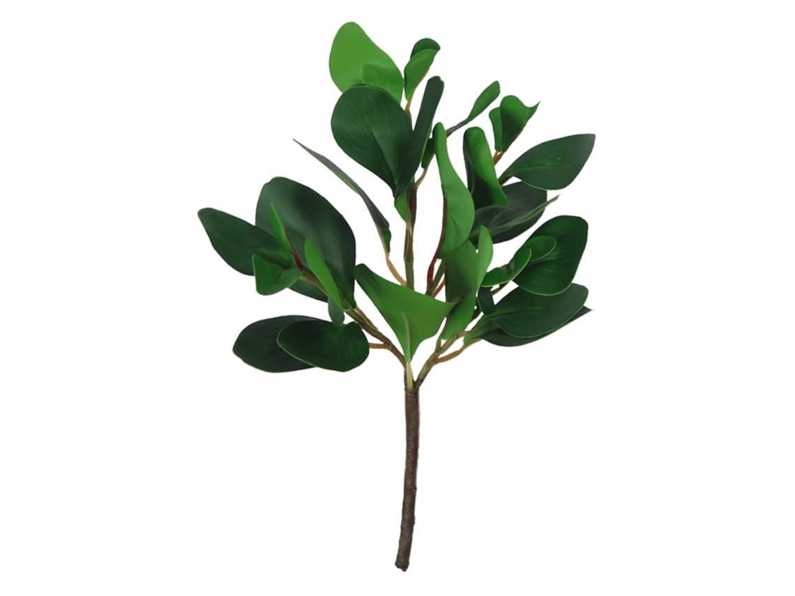 Laxiscreed Decoração De Parede Com Folhas De Feijão Verde Para Sala De Estar