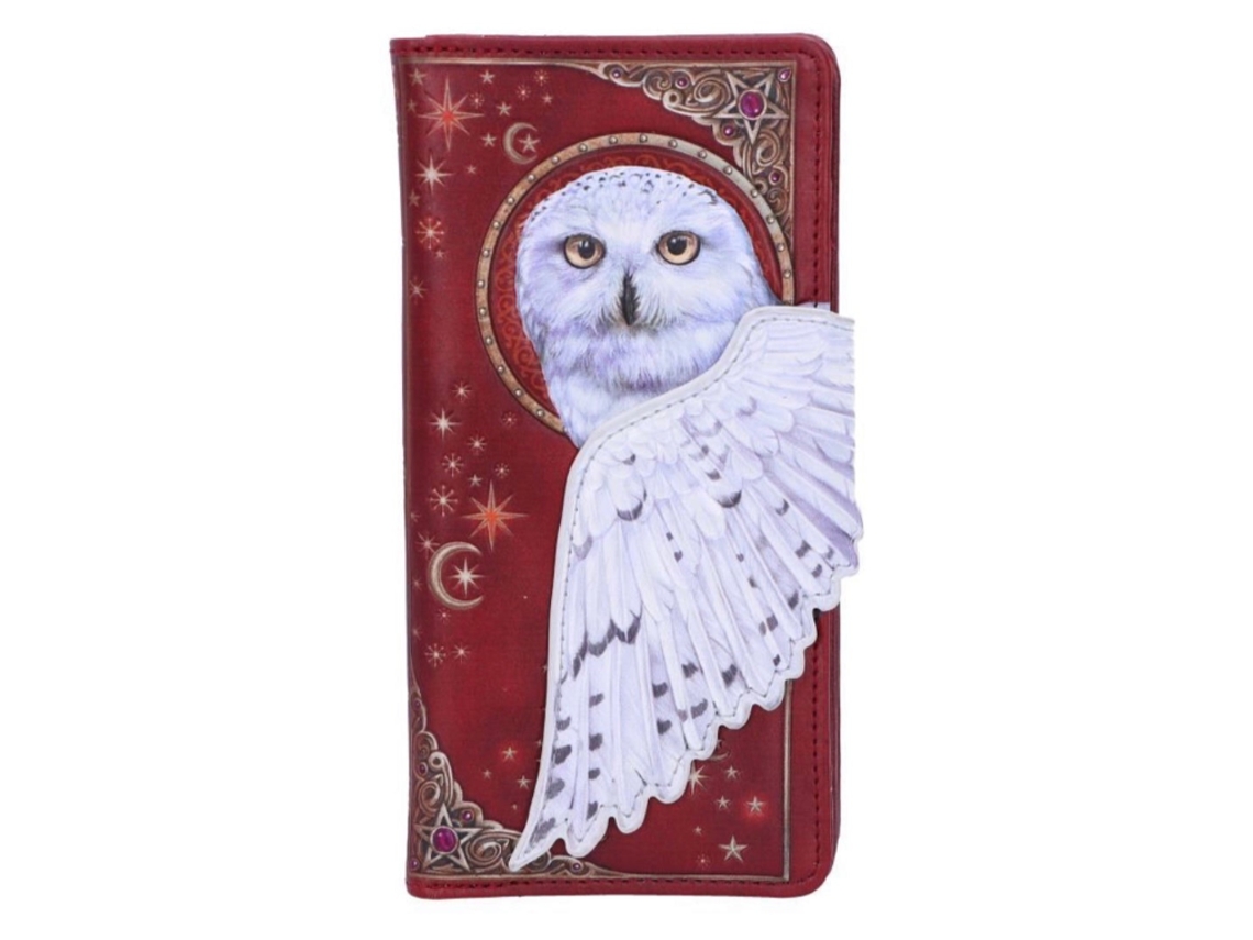 Carteira Para Cartões Magical Flight Em Relieve 18,5 Cm