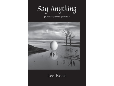 Livro Say Anything de Lee Rossi (Inglês)