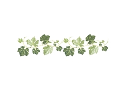 Omni stickers de Parede Folhas de Videira Plantas Verdes Autoadesivos Decoração para Sala de Estar Quarto Cozinha Banheiro Corredor