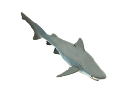 SAFARI Bull Shark