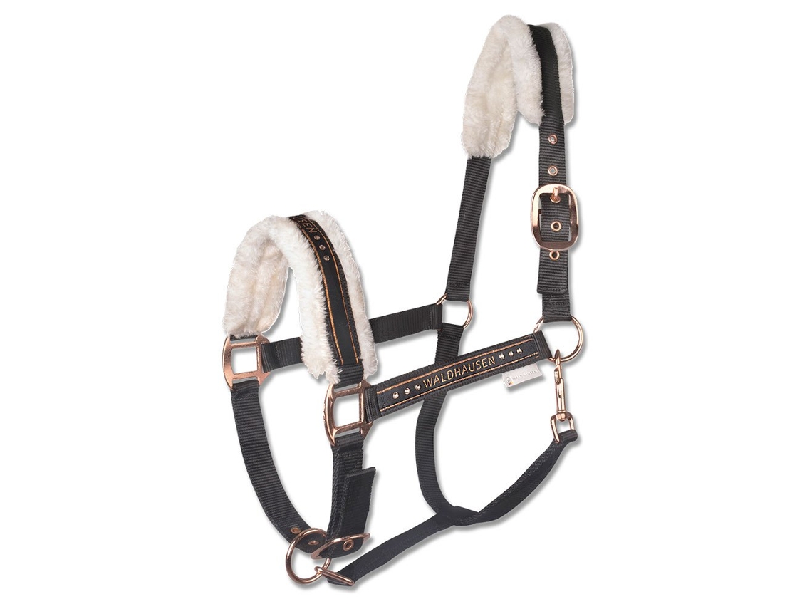 Cabeçada Elegant Dourado Cobwaldhausen