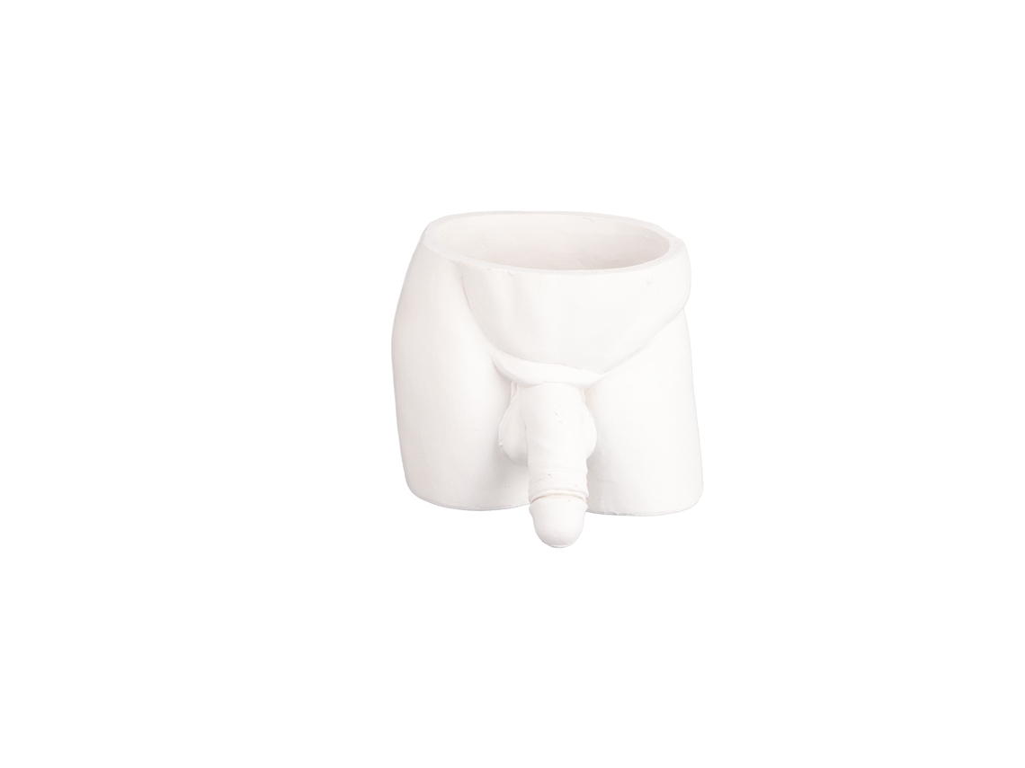 Vaso de Flores Presente para Plantas Pequenas Suculentas Decor Casa