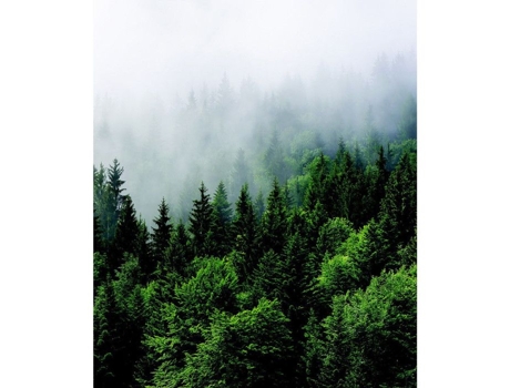 Papel De Parede Floresta E Neblina Ag Art