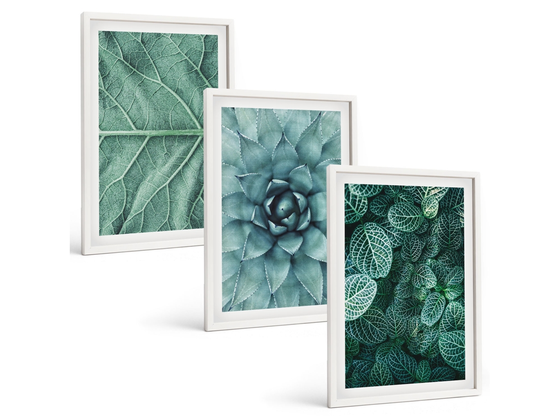 Conjunto De Pinturas Close-ups De Plantas E Folhas Espelharte (3 Peças 40x60 Cm)