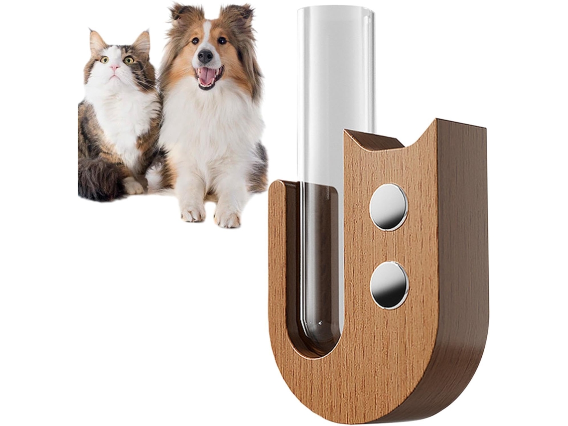 Vaso De Vidro Em Formato De Gato, Pequeno Objeto Decorativo Para Colecionadores, Transparente | Pote Porta-objetos Com