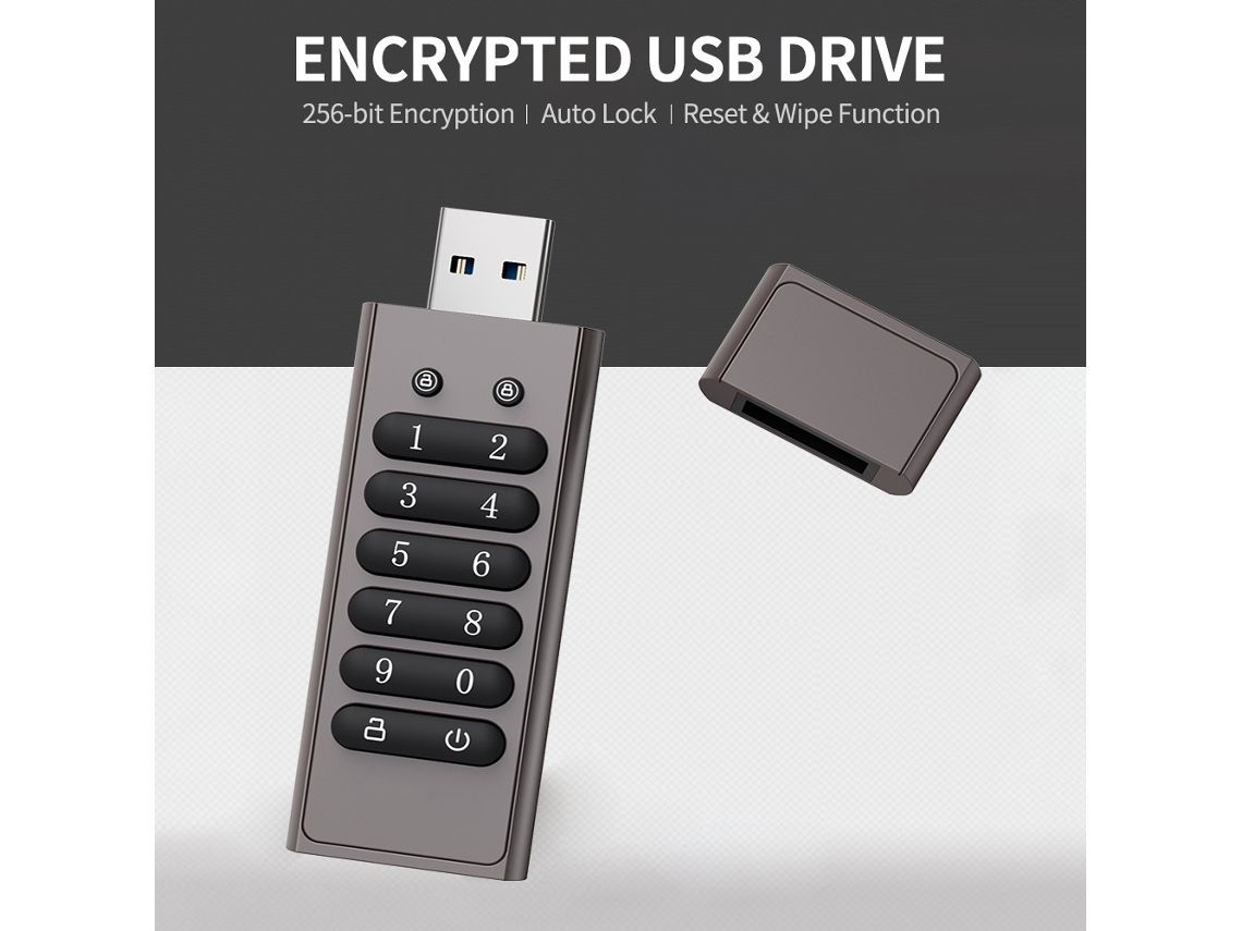 Pen Drive Criptografado 128gb LAXISCREED