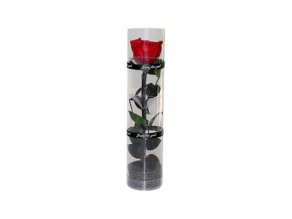 Omni rosa Preservada Real, Rosa Eterna, Duradera Y Natural Con Tallos Y Hojas Reales para Regalo Vermelho