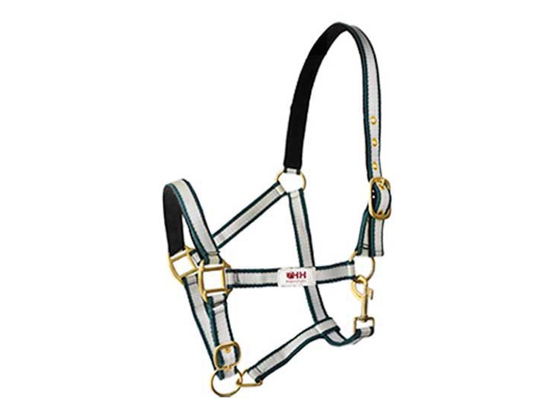 Camada Dupla Carabiner Halter Nylon Verde Fullhispano Hipica