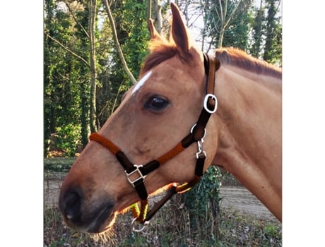 Cabresto e corda de couro para cavalos Cavaletti Tara