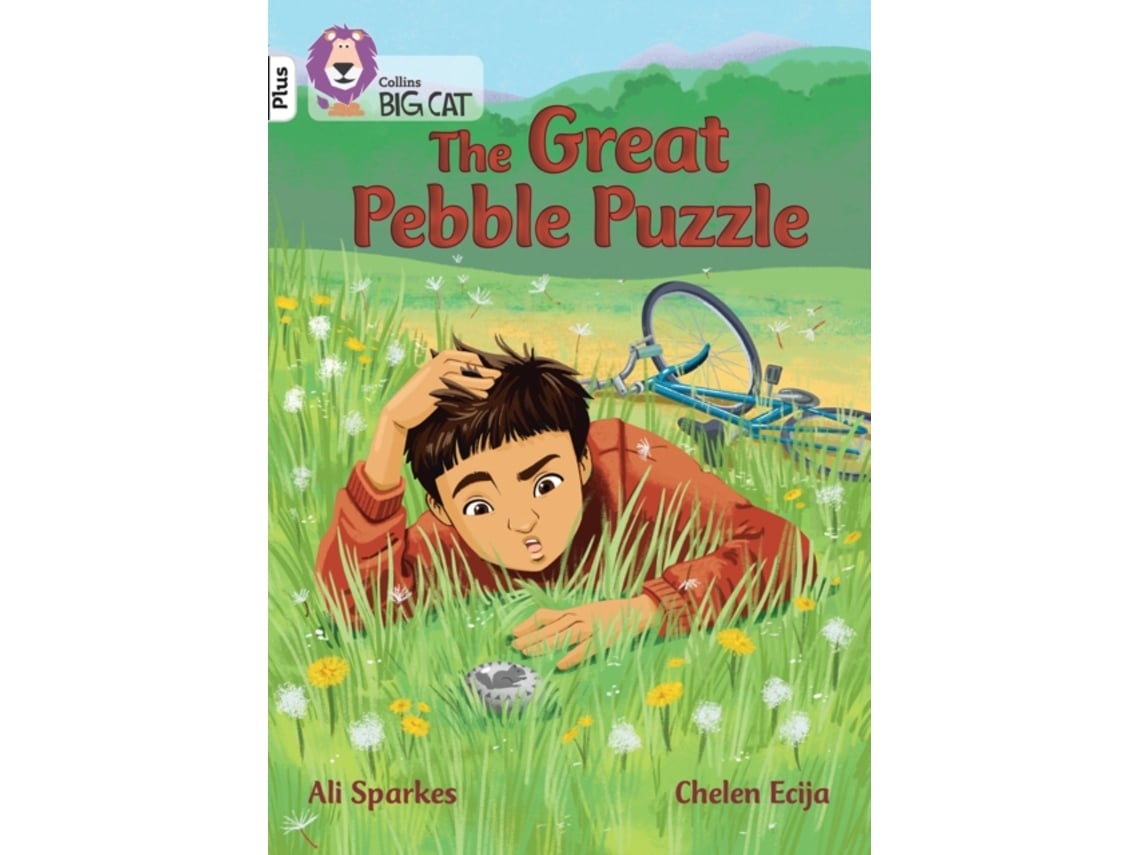 Livro The Great Pebble Puzzle de Ali Sparkes (Inglês)