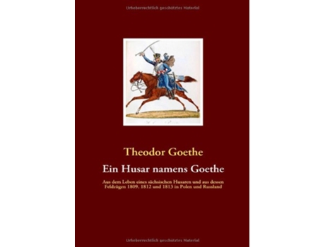 Livro Ein Husar namens Goethe German Edition de Theodor Goethe (Alemão)