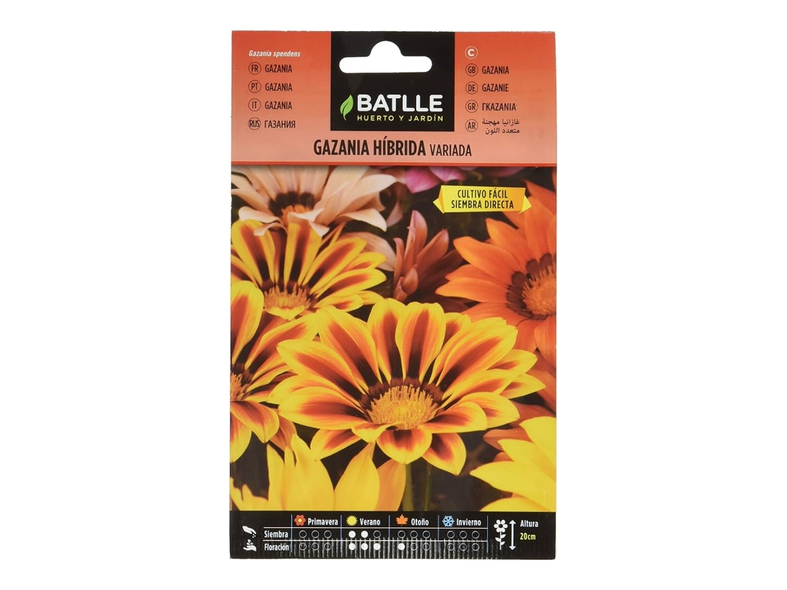 Sementes de Gazania híbrida variada BATLLE