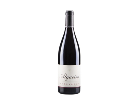 Serradelo Brancellao 2016 ALGUEIRA