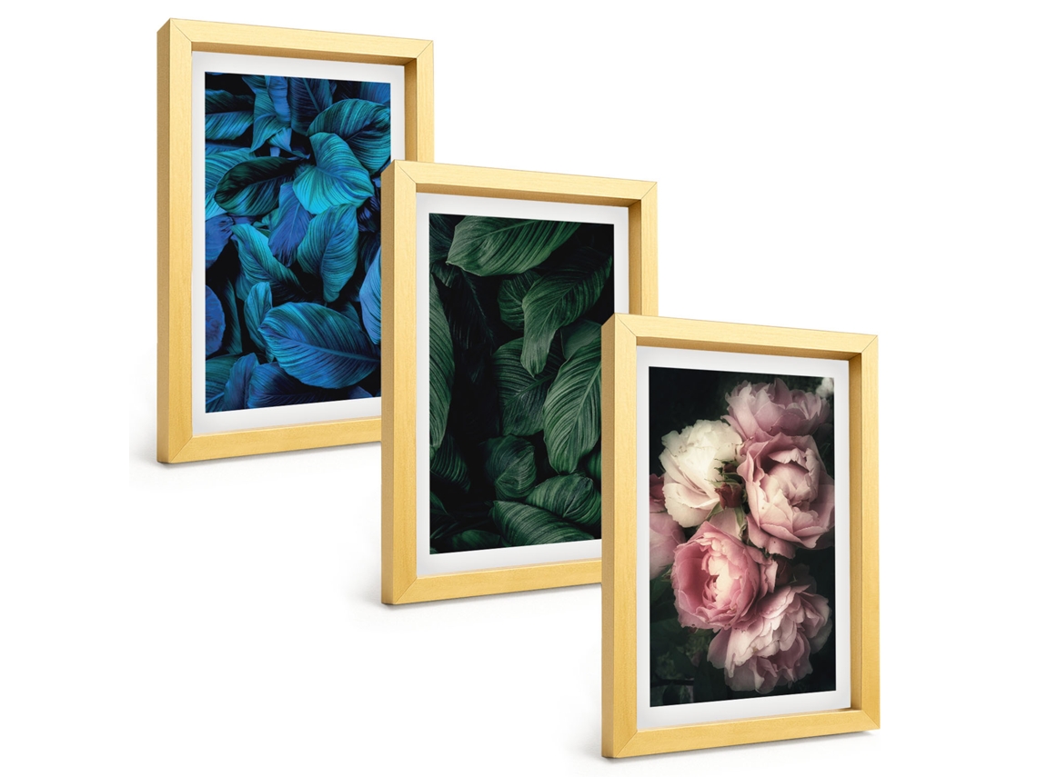 Composição De Quadros Folhas, Flores, Várias Cores Espelharte (3 Peças 20x30 Cm)