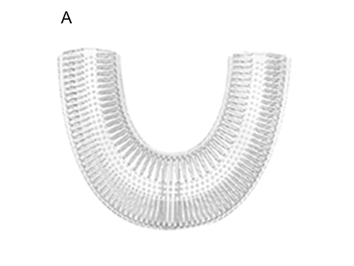 U Forma Cabeça de Escova Dentes Limpeza Profundamente Silicone 360 ​​graus Elétrica Mac Ia para Crianças Qinhai GOKOCO
