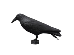 Laxiscreed Decoração De Halloween Com Corvos E Gizes De Plástico Para Jardim E Ambiente Temático