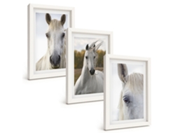 Conjunto De Pinturas Cavalos Brancos Na Natureza Moldura Branca Imagens Para Um Quarto Infantil Espelharte (3 Peças 20x30 Cm)
