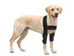 2026 protector de Codo Respirable para Perros Con Soporte para Hombros, Ideal para Higrama, Displasia Y Osteoartritis