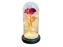 Luz Led de Flores com Capa de Vidro Ambiente Romântico