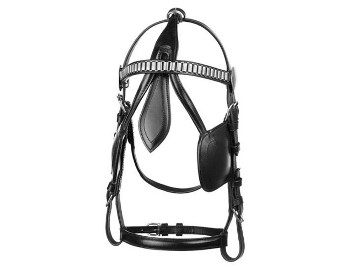 Engate Munich Nylon/Colar de Couro Preto Fulllexhis