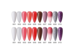 Kit De Unhas Em Gel Anself Com 10 Cores, Esmaltes Uv/led, Base, Top Coat, Pinceis, Lixas E Pontas Para Beleza Diy E Salão