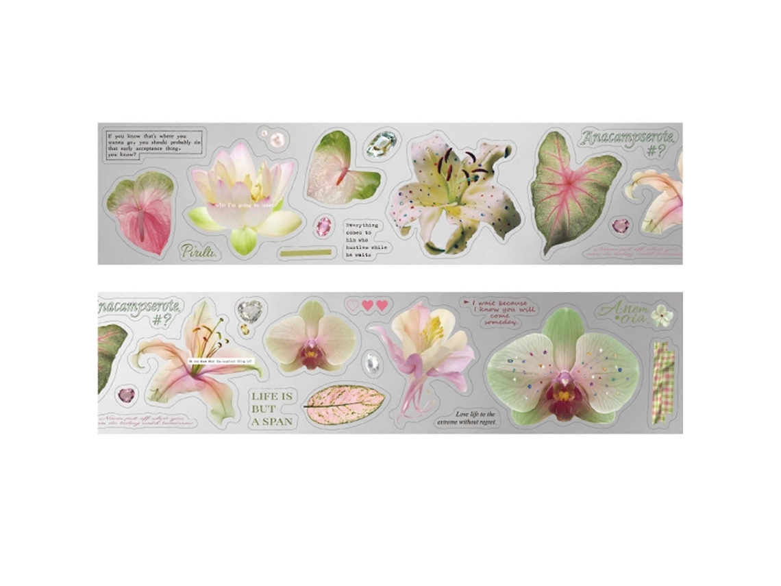 Fita Adesiva Decorativa Em Pet, Para Artesanato, Ideal Scrapbooking E Diários. Ad Esiva Reutilizável Mul
