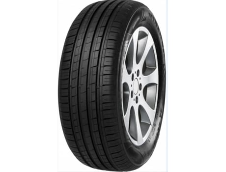 Pneu MINERVA F209 195/55 R16 91V