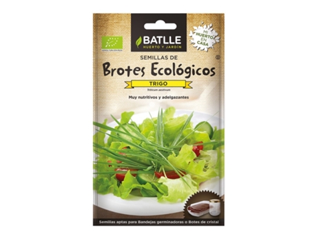 Sementes de Trigo para Brotos Orgânicos