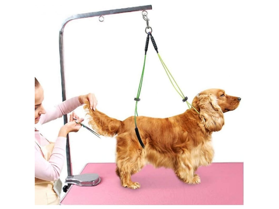 2026-mesa De Peluquería Para Mascotas Com Correia De Pescoço E Tornozelo Ajustável Aço Inoxidável 62/50cm Amarelo+cinza Rum