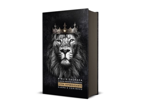 Livro Biblia Rc Jumbo Pjv Com Harpa E Corinhos Capa Dura Rei Dos Reis Ebenezer De Diversos (português Do Brasil)