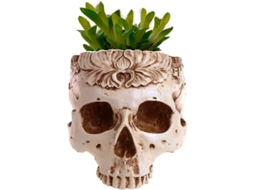 Vaso De Flores Em Forma De Crânio Padrão Crânio Decoração Branco Quente Frente Flor