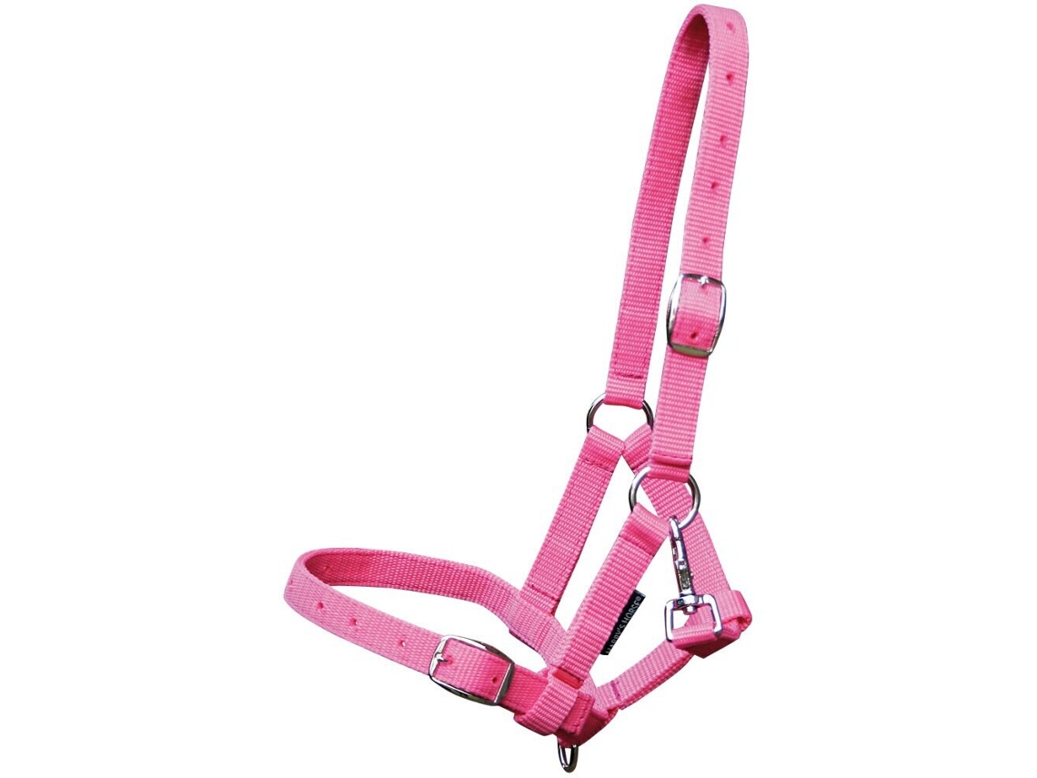 Cabresto para potro Harry's Horse