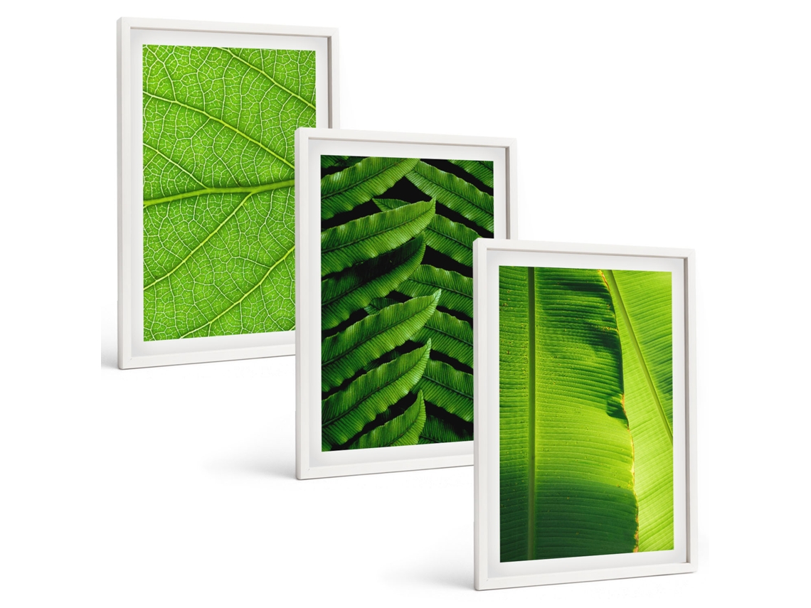 Conjunto De Pinturas Folhas Tropicais, Macrofotografia Espelharte (3 Peças 40x60 Cm)