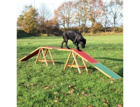 Dog Activity Agility Dogwalk Trixie