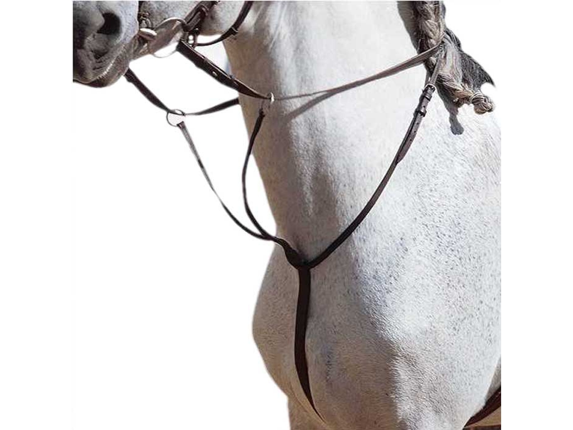Martingale Econômico Castanhomarjoman Distribucion