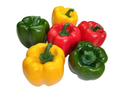 Pimentões Artificiais Decorativos Vegetais De Espuma Coloridos 6 Peças Vermelho Verde Amarelo